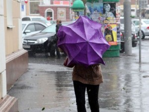 Дожди в Челябинской области будут лить до наступления июня