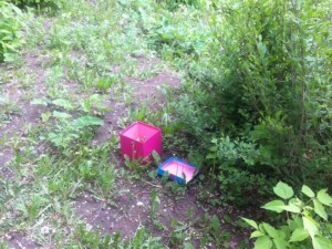 В Магнитогорске нашли труп котенка в розовой коробочке. 18+