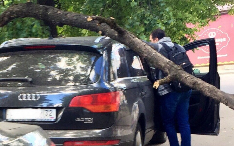 В Брянске на машину рухнуло дерево