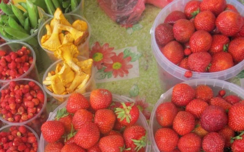 На рынке в Клинцах нашли радиоактивные ягоды