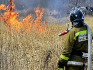 Жечь костры разрешили: на Южном Урале отменен особый противопожарный режим