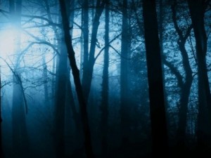 Загадочное исчезновение: мать с сыном потерялись в густых лесах Южного Урала