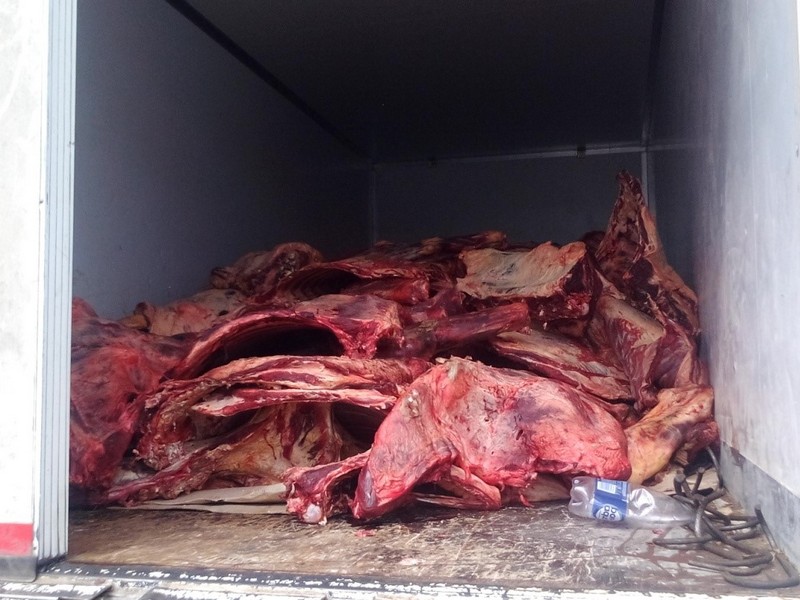 Через Брянск не пустили около 8 тонн говядины