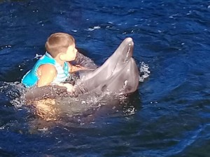 «Убитые дороги», живые дельфины и пеликаны. Крымские встречи