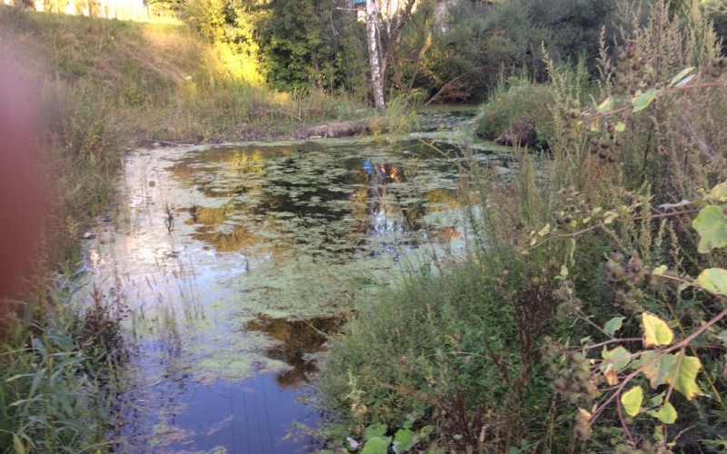 Дачи в Бежице ушли под воду