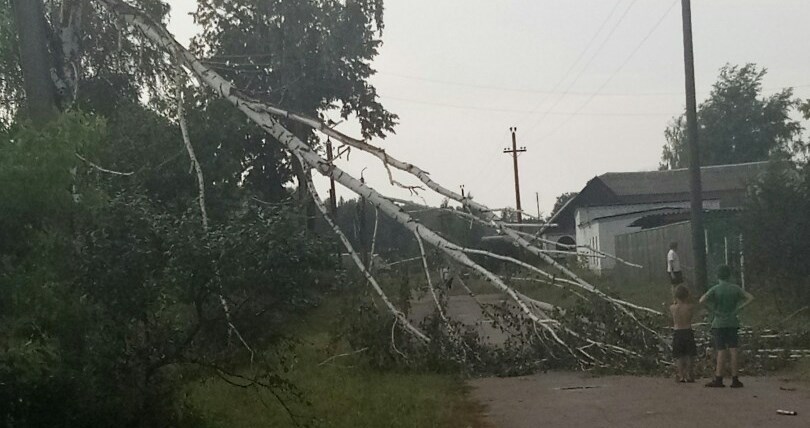 Жуковский ураган посрывал крыши и повалил деревья