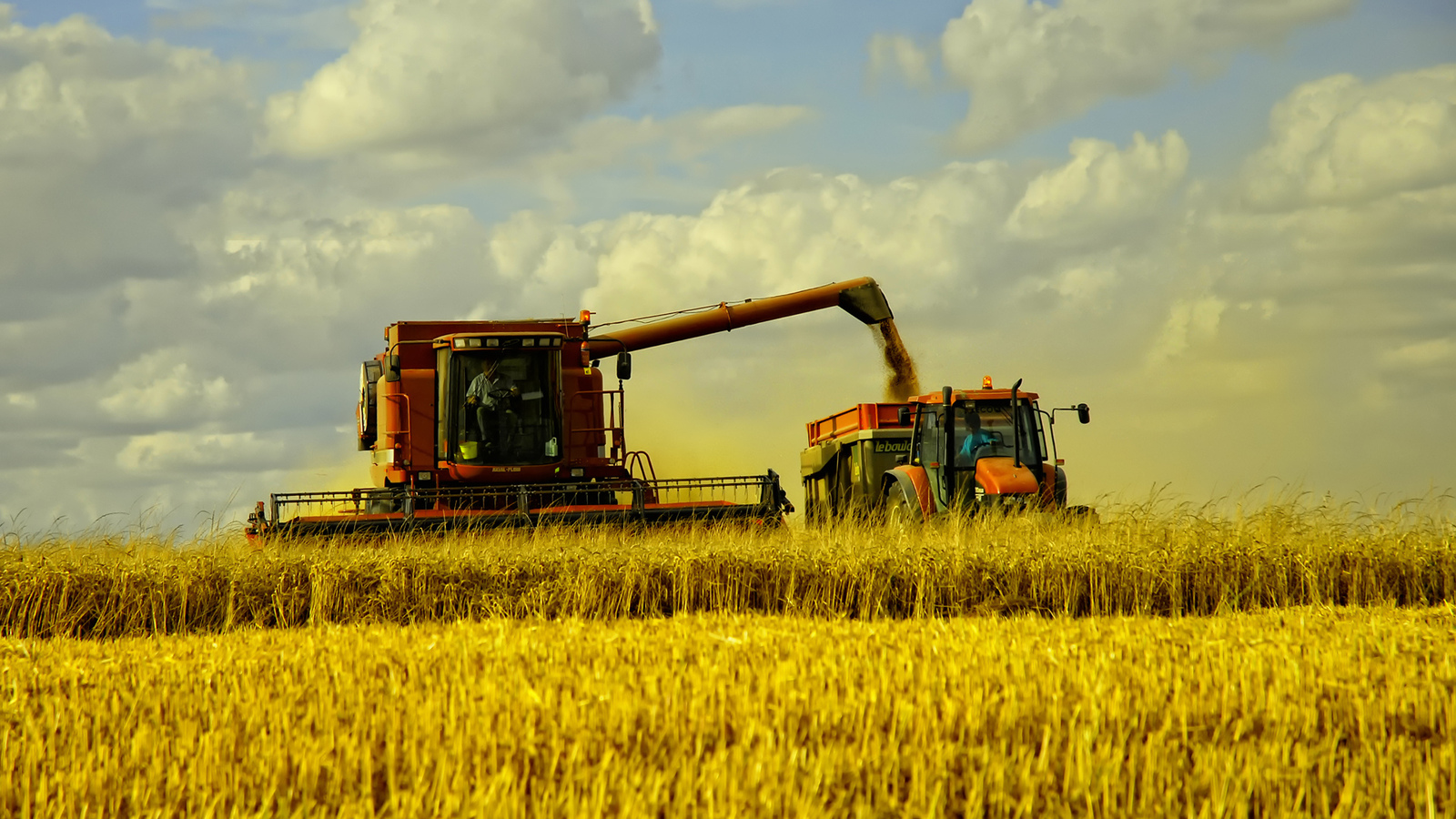 В Брянской области убрали более половины зерновых