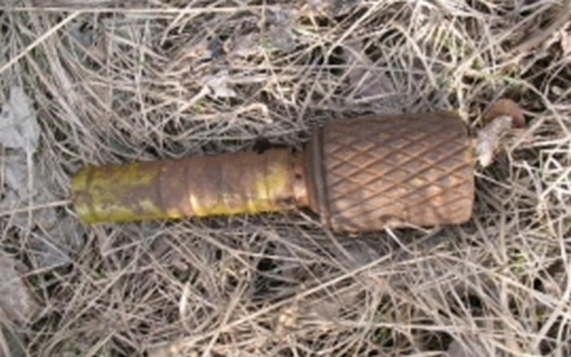 В лесу под Дубровкой нашли гранаты
