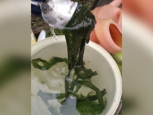 Вода с водорослями пошла из кранов в Аргаяше