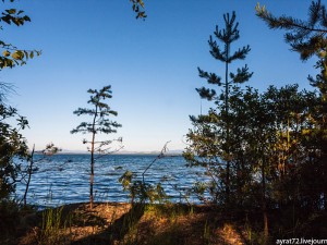 Бывшего чиновника администрации Челябинска обвиняют в мошенничестве на берегу озера Увильды