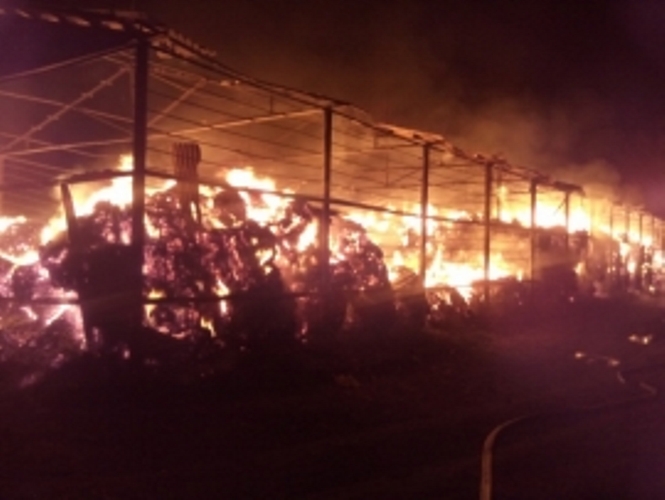 В Рогнединском районе загорелся сенник