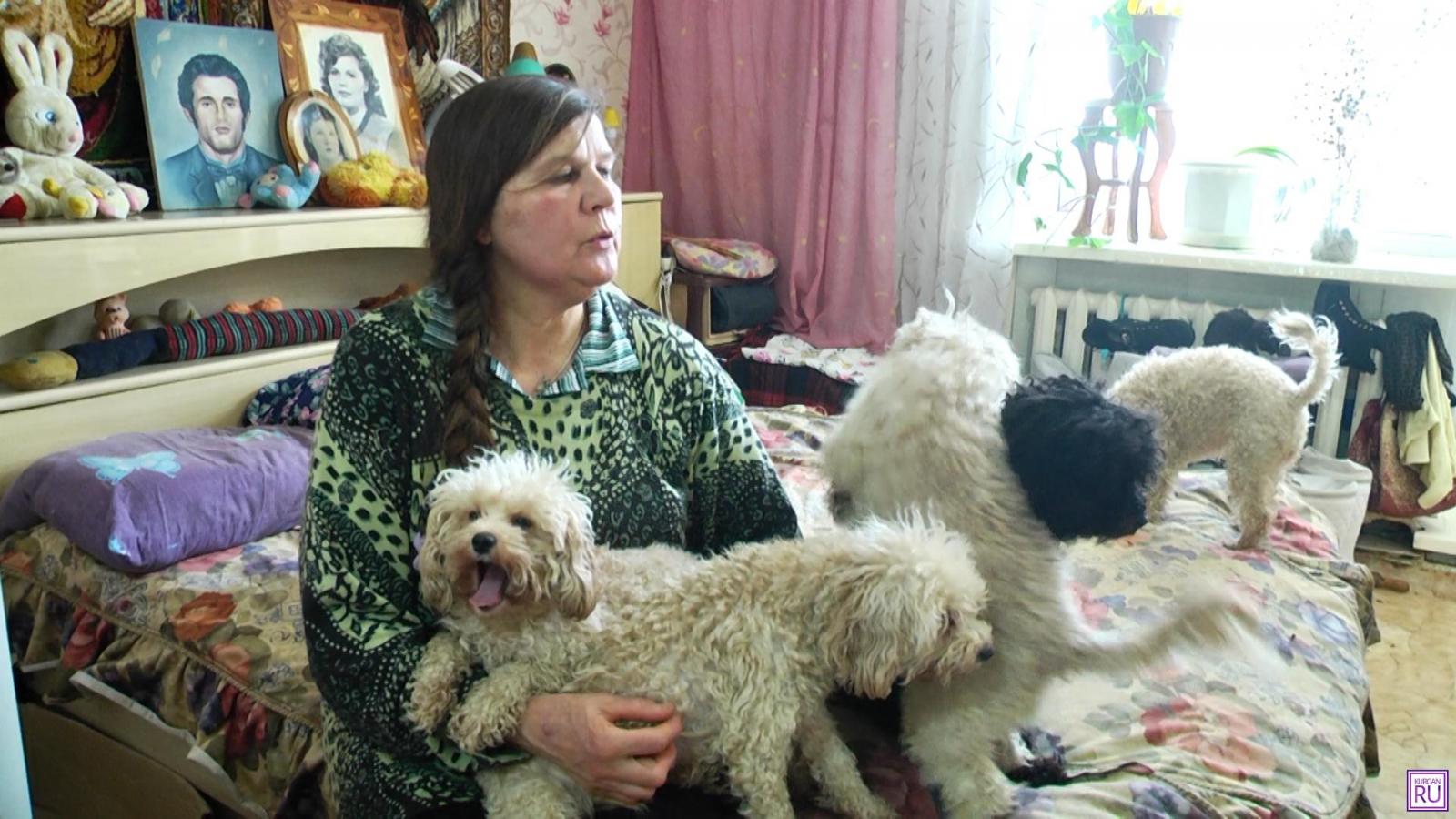 Москвич оплатил долг пенсионерки, взявшей кредит на лечение дворняжки