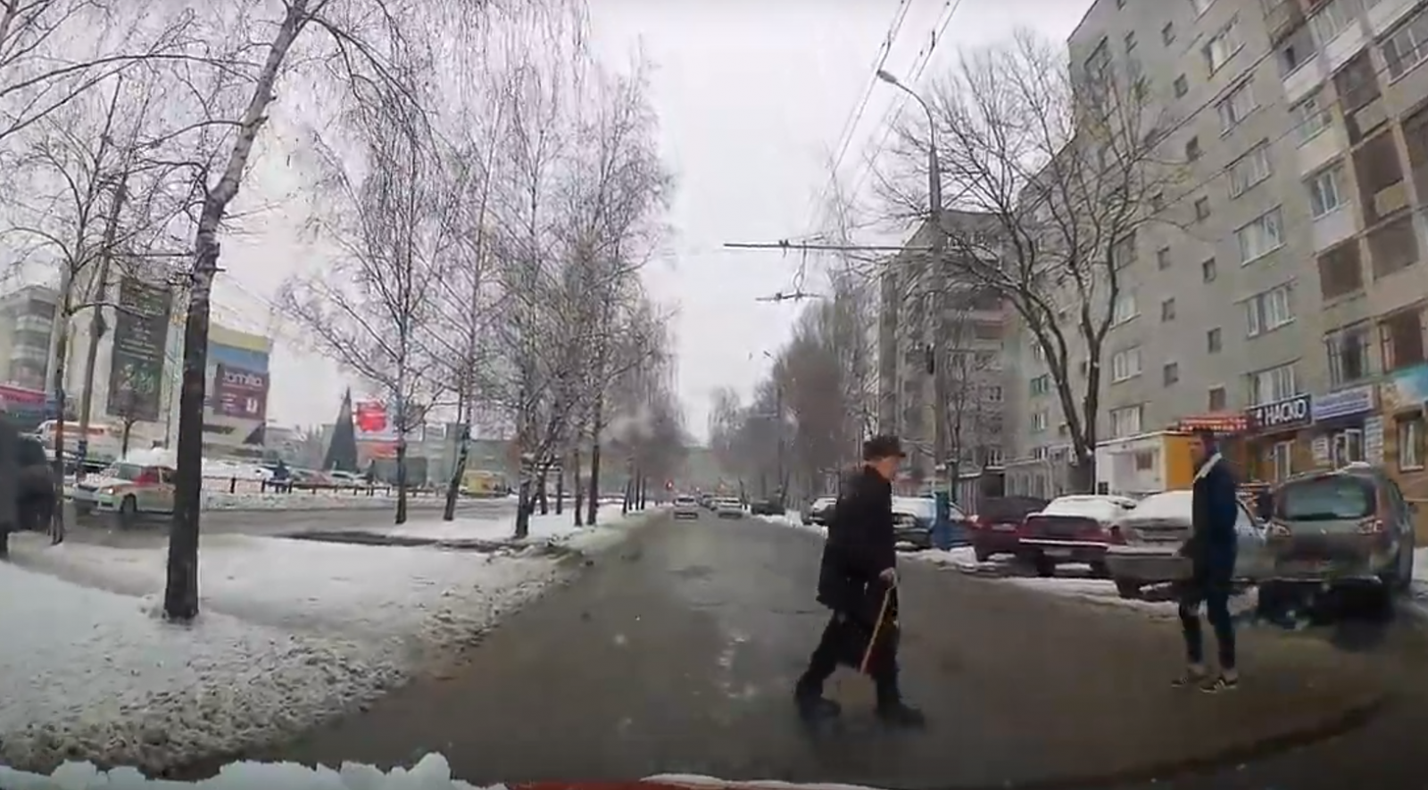 В Сети появилось видео с брянскими пешеходами-камикадзе
