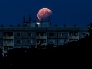 Как и когда лучше наблюдать «кровавую Луну»