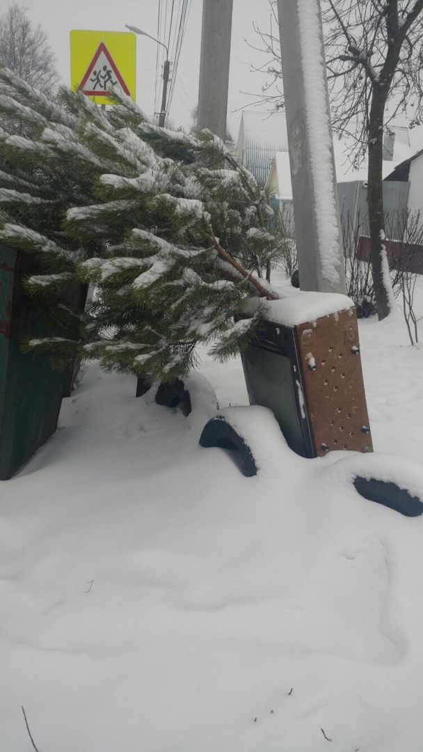 Жители Брянска массово выкидывают новогодние елки