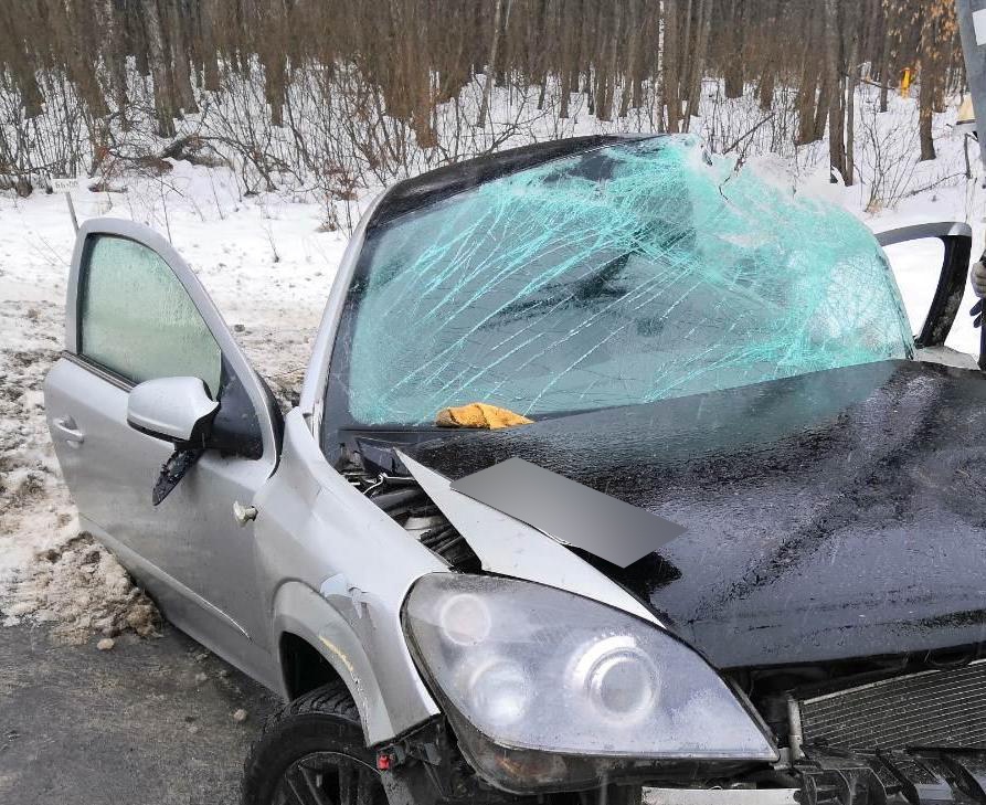Под Брянском в смертельном ДТП погиб 34-летний водитель