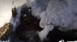 Нечистоты попали в озеро Тургояк