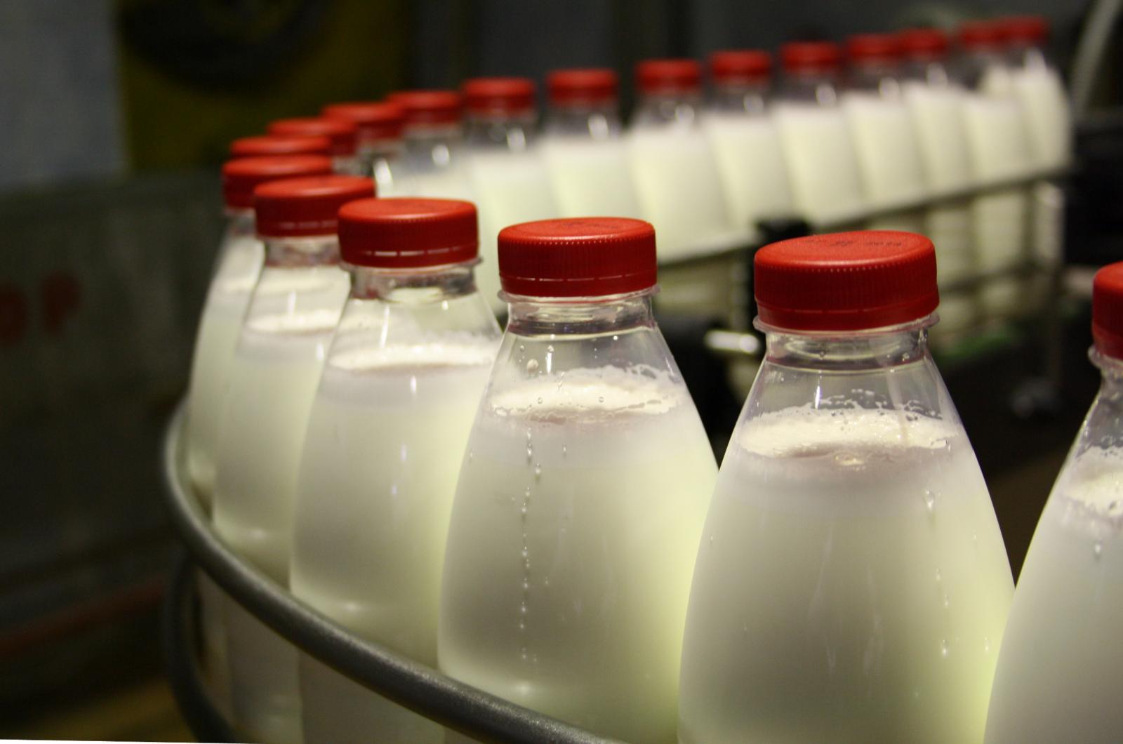 Российские ритейлеры предупредили о задержках в поставках молочной продукции