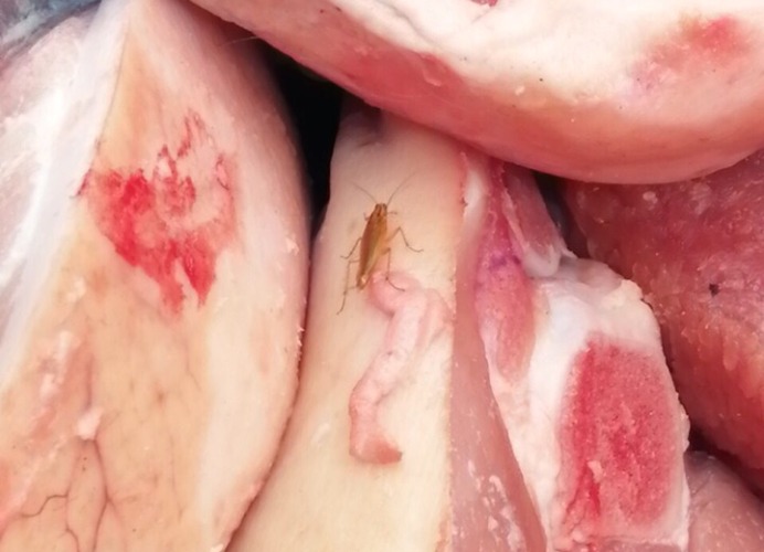 В брянском гипермаркете продают мясо с тараканами
