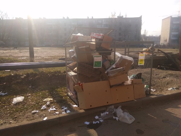 В Брянске контейнеры для раздельного сбора мусора превратили в свинарник