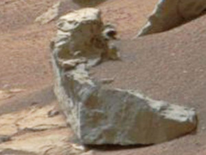 Пингвин на Марсе? Снимок странного изображения размещен в сети NASA