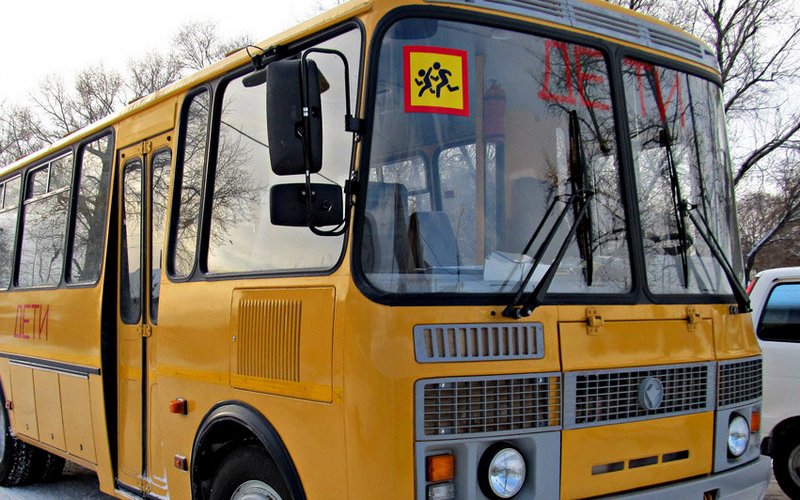 Брянским водителям школьных автобусов велели показаться психиатру