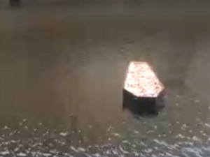 Черный гроб с гранатами проплыл по каналу в Петербурге