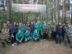 2640 саженцев сосны высадили в городском бору Челябинска