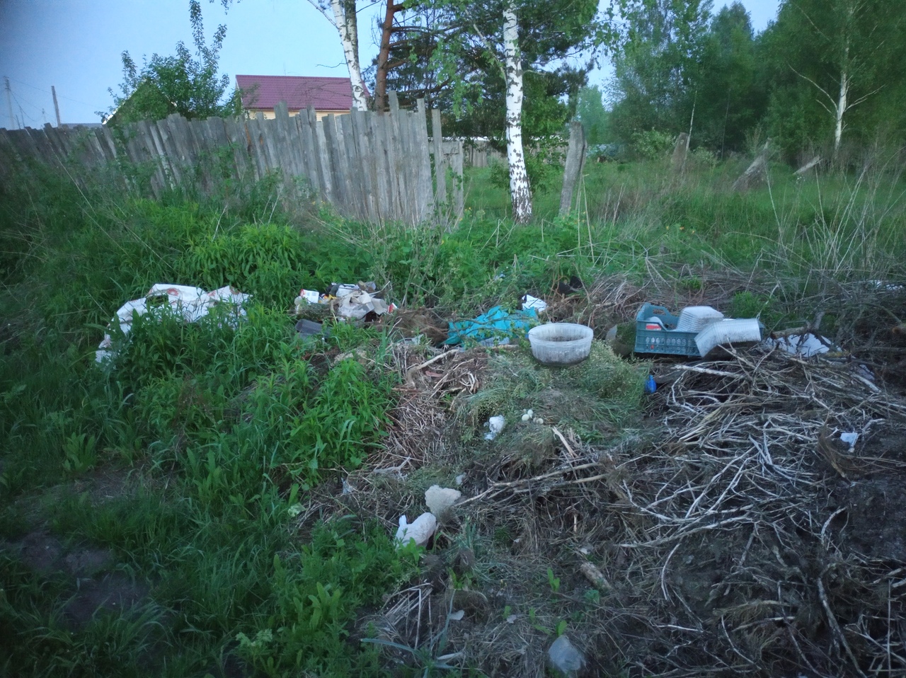 Жители Брянска пожаловались на нерадивых дачников