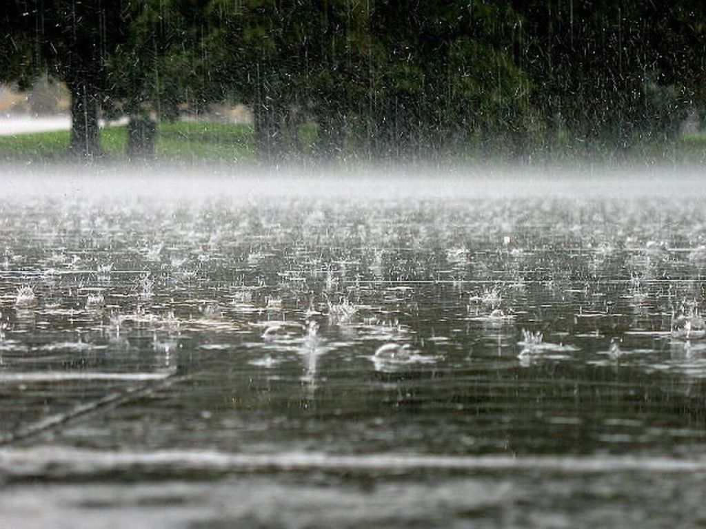 Выходные в Брянске начнутся с дождя