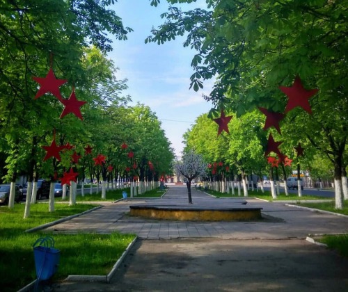 В брянском сквере украсили деревья красными звездами