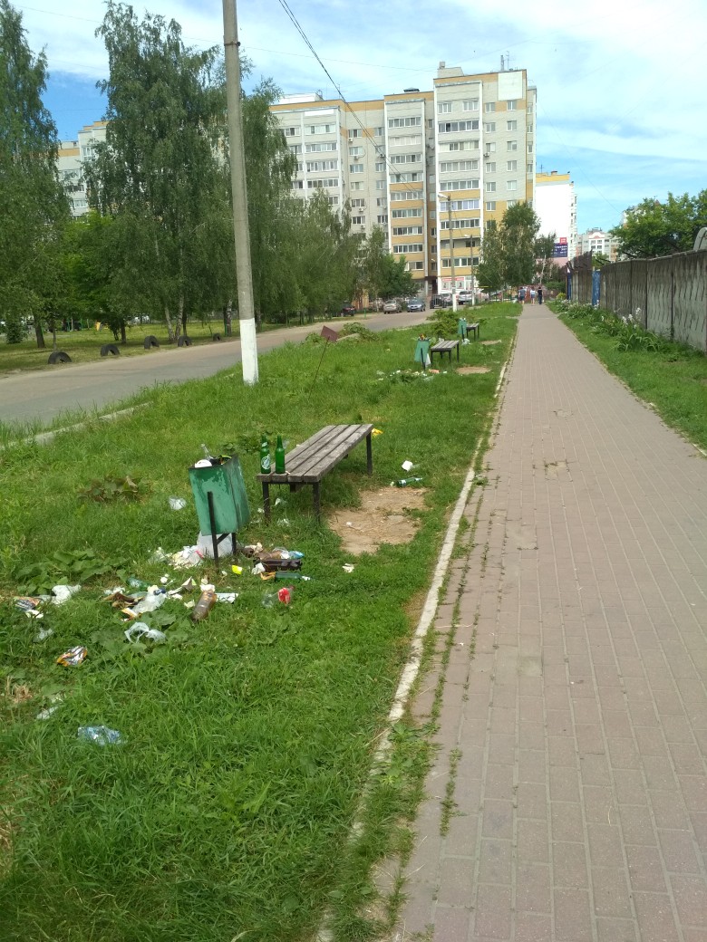 "Аллея семьи" в Брянске превратилась в мусорную