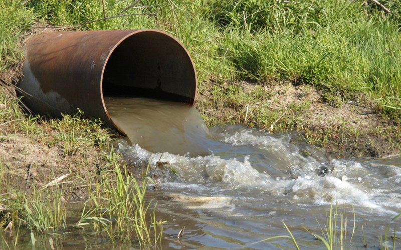 В городе Дятьково канализацию сливали в местный пруд