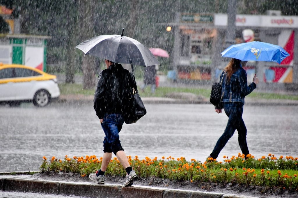 Во вторник в Брянске ожидается дождь с грозой