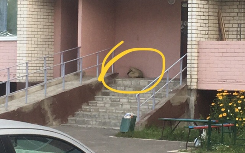 В Брянске во дворе многоэтажного дома искали бомбу