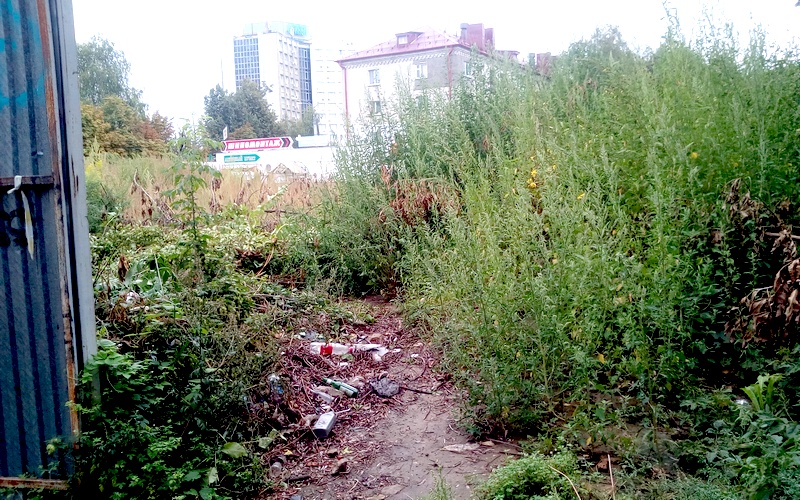 Территория бывшей бани в центре Брянска утонула в сорняках и мусоре