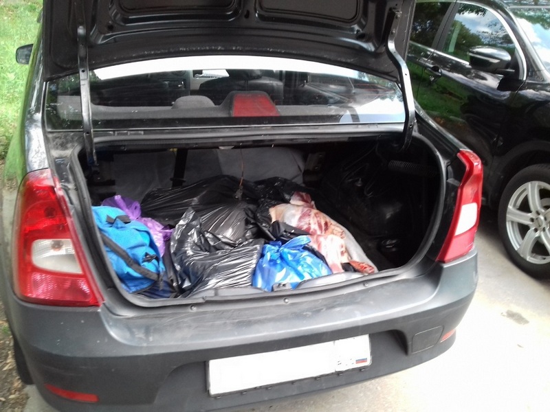 3-х мертвых баранов нашли брянские сотрудники ГИБДД в багажнике