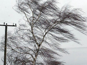 Усиление ветра при грозах ожидается в Челябинской области