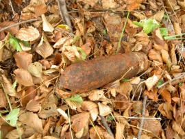 В Навлинском районе нашли четыре боеприпаса времен войны