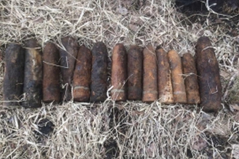 В Комаричском районе нашли 10 боеприпасов времен войны