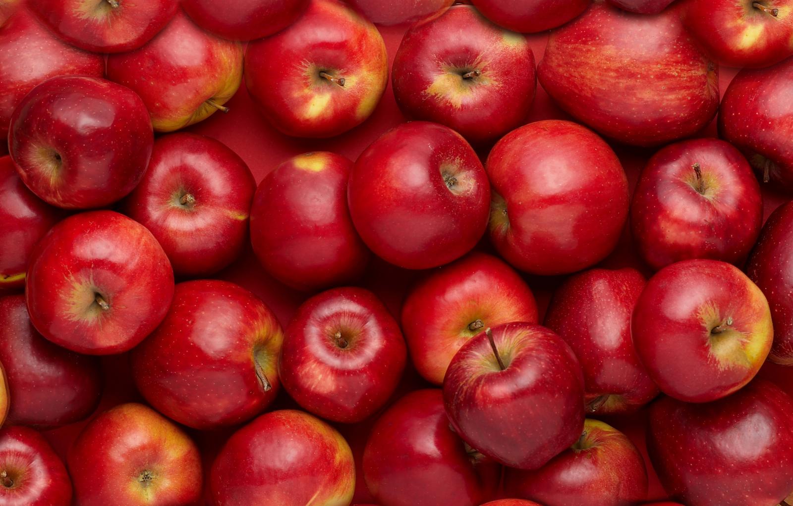 В Новозыбковском районе уничтожили 433 кг подозрительных яблок