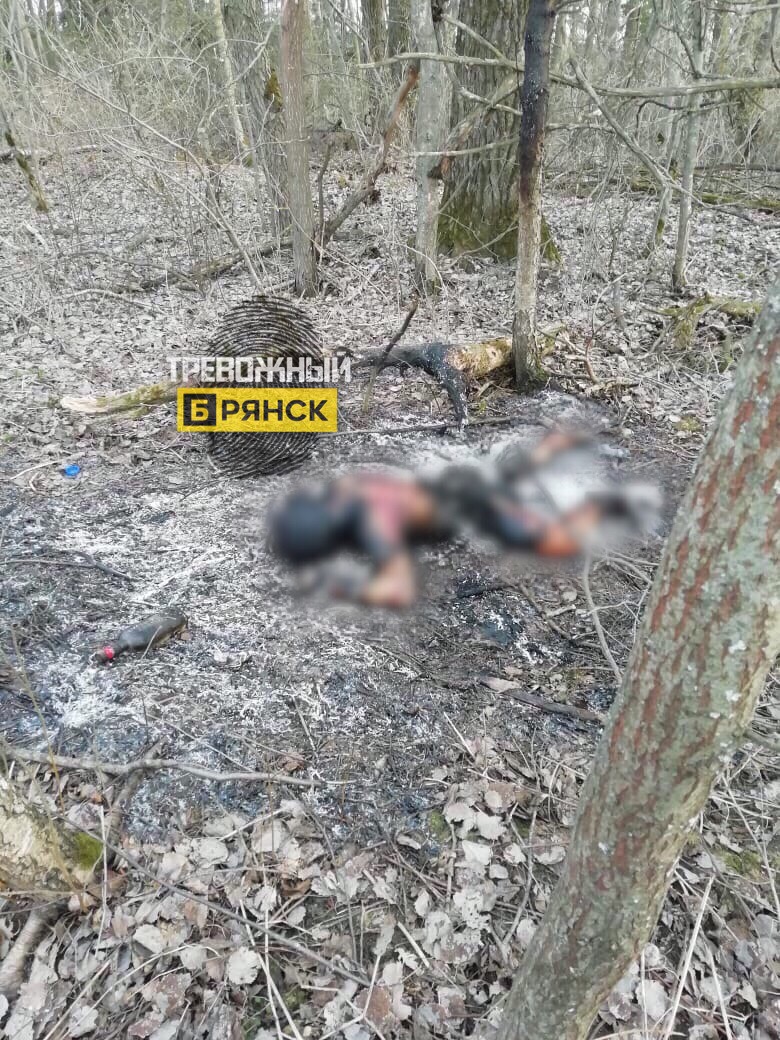 Соцсети: В Дубровке неизвестные убили и сожгли лесника