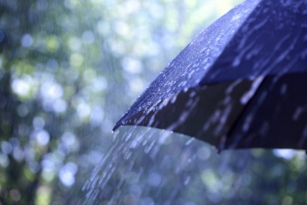 Понедельник в Брянской области ожидается дождливым