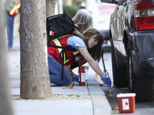 Программу уборки человеческих фекалий с тротуаров разработали в Сан-Франциско