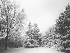 Ожидается снегопад и похолодание к Новому году в Челябинской области