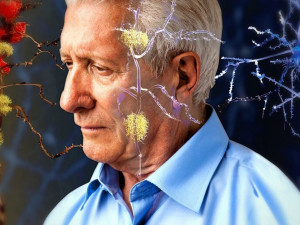 От болезни Альцгеймера нас спасут стробоскоп и звук?