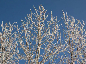 3 января в Челябинске будут мороз и солнце, как в стихах поэта