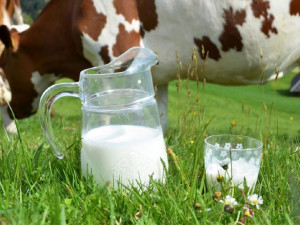 6857 килограммов молочных продуктов изъято из продажи в Челябинской области