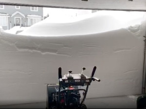 Розового единорога сняли на видео после снежного шторма в Мичигане (видео)
