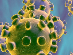 Способ убить коронавирус нашли ученые Сколково
